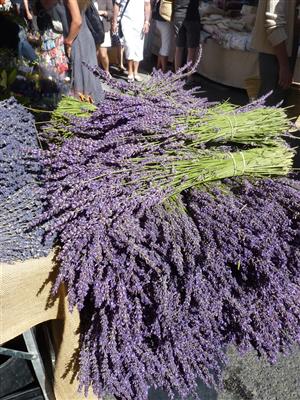 Lavender in July at Apt markets